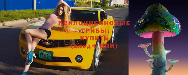 мяу мяу мука Иннополис