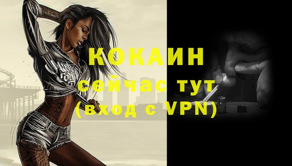 ешки Инта