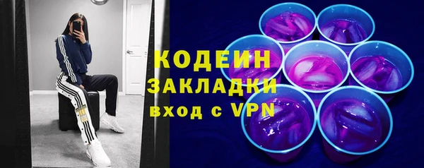 мяу мяу мука Иннополис