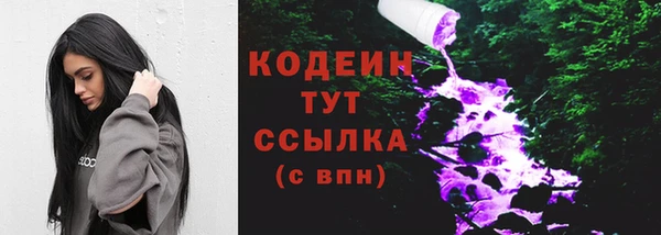 мяу мяу мука Иннополис