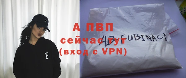 мяу мяу мука Иннополис