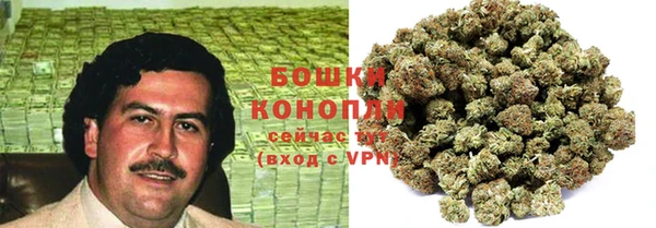 мяу мяу мука Иннополис