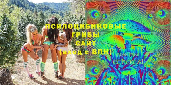 ешки Инта