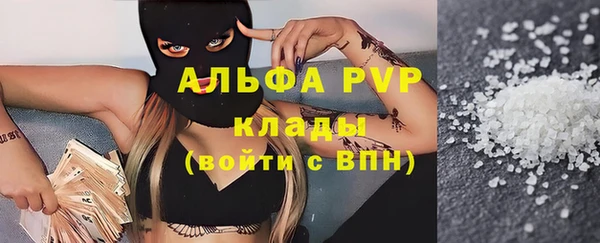 ешки Инта