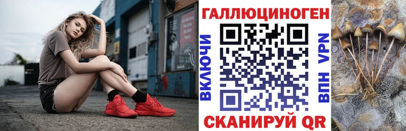 Купить  Мирный  Галлюциногенные грибы Psilocybe 